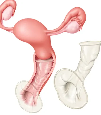 what to expect when hiring a male companion